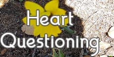 heart questioning