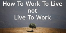 How To Work To Live not Live To Work