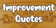 improvement quotes