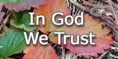 In God We Trust