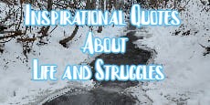 Inspirational Quotes About Life and Struggles