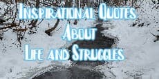 Inspirational Quotes about Life and Struggles