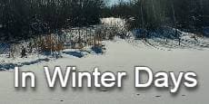 In Winter Days