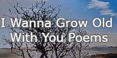 I Wanna grow old with you poems