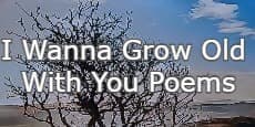 I Wanna Grow Old With You Poems