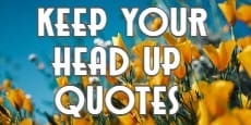 keep your head up quotes