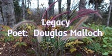 Legacy -  Poet: Douglas Malloch