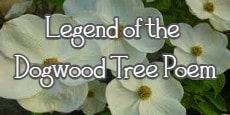 Legend of the Dogwood Tree Poem