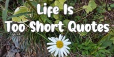 Life Is Too Short Quotes 