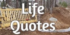 life quotes