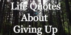 life quotes about giving up