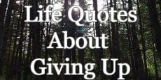 Life Quotes About Giving Up