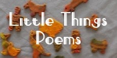 Little Things Poems