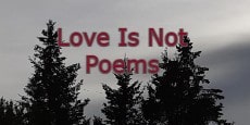 Love Is Not Poems