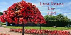 Love Poems For Him