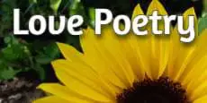 Love Poetry
