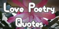 Love Poetry Quotes 