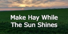 make hay while the sunshines