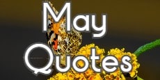 May quotes