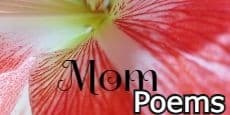 Mom Poems