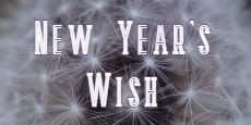 New Year's Wish