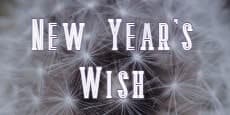 New Year Wish