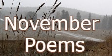 November poems