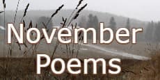 November Poems