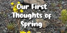 Our First Thoughts of Spring
