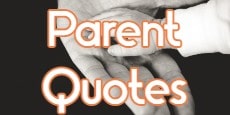 Parent Quotes