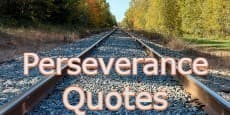 perseverance quotes