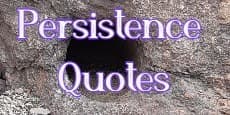 Persistence Quotes