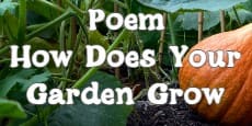 Poem How Does Your Garden Grow
