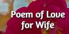 Poem of Love for Wife