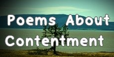 poem about contentment