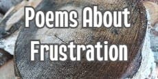 poems about frustration