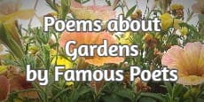 Poems about Gardens by Famous Poets