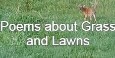 Poems about Grass and Lawns