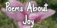 poems about joy