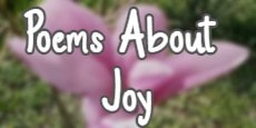 Poems About Joy