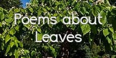 poems about leaves