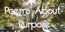 poems about purpose