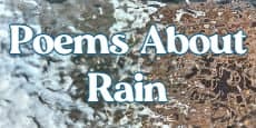 Poems About Rain