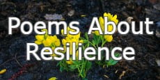 Poems About Resilience