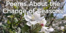Poems About the Change of Seasons