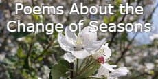 Poems About the Change of Seasons