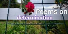 Poems On Determination