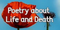 Poetry about Life And Death