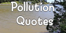 Pollution Quotes