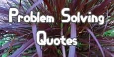 problem solving quotes